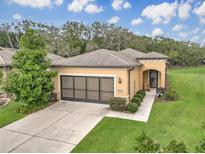 Charming single-story home features a well-manicured lawn, arched entry, and a two-car garage at 9697 Sw 63Rd Loop, Ocala, FL 34481