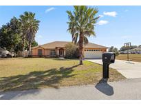 Charming one story home featuring a well manicured front lawn and towering palm trees at 3994 Sw 102Nd Pl, Ocala, FL 34476