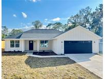 Charming single-story home with modern farmhouse design, black garage door, and well-manicured lawn at 8295 Se 159Th Ln, Summerfield, FL 34491