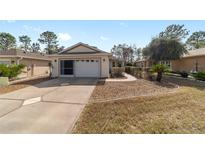 Charming single-story home featuring a well-maintained lawn, a two car garage, and an inviting facade at 9126 Sw 102Nd Cir, Ocala, FL 34481