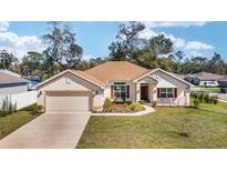 Charming single-story home with a well-manicured lawn, a two-car garage, and a beautifully landscaped front yard at 3925 Ne 58Th Cir, Silver Springs, FL 34488