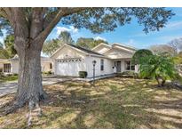 Charming single-story home with a two-car garage, landscaped yard, and mature trees at 9064 Sw 91St Cir, Ocala, FL 34481