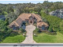 Stunning aerial view of the estate with a circular driveway, lush landscaping, and a grand entrance at 3848 Nw 85Th Ter, Ocala, FL 34482