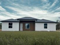 New construction, single-story home featuring white walls, a modern wood accent, and a well-manicured lawn at 4501 Sw 110Th Ln, Ocala, FL 34476