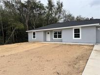 New single-story home featuring neutral-colored exterior, newly installed roof, windows, and incomplete landscaping at 2949 Se 144Th Pl, Summerfield, FL 34491