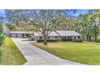 Charming home featuring a sprawling lawn and a long driveway leading to the house and detached garage at 1010 Sw 26Th St, Ocala, FL 34471