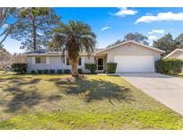 Charming single-story home with a well-manicured lawn and a mature palm tree at 8126 Sw 105Th Pl, Ocala, FL 34481