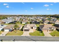 Neighborhood aerial view features a manicured landscape, beautiful homes and serene surroundings at 11013 Se 169Th Pl, Summerfield, FL 34491
