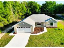 Charming single-story home with a well-manicured lawn and an attached two-car garage at 14 Bay Terrace Pass, Ocklawaha, FL 32179