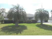 Well-manicured front yard featuring lush green grass and mature palm trees enhancing curb appeal at 15756 Sw 37Th Cir, Ocala, FL 34473