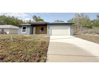 Charming single-story home featuring a two-car garage and modern design at 4059 Sw 131St Place Rd, Ocala, FL 34473