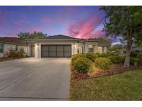 Charming home featuring a two-car garage, meticulous landscaping, and a well-maintained lawn at 8961 Se 130Th Loop, Summerfield, FL 34491