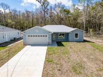 Charming single-story home with a well-manicured lawn and a paved driveway leading to an attached garage at 12876 Se 42Nd Ct, Belleview, FL 34420