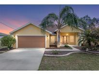Charming single Gathering home with a well maintained lawn and landscaping at 234 Locust Pass Loop, Ocala, FL 34472