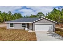 Charming single-story home featuring a two-car garage and a well-maintained front yard at 10069 Sw 140Th Ave, Dunnellon, FL 34432