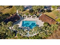 Aerial view of community pool surrounded by palm trees and covered seating areas offering a relaxing outdoor experience at 3616 Ne 17Th Ln, Ocala, FL 34470