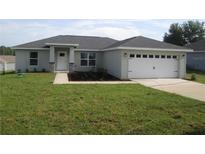 Charming single-story home with a well-manicured lawn, two-car garage, and inviting entrance at 9455 Se 152Nd Pl, Summerfield, FL 34491