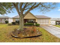 Charming single-story home featuring a well-maintained yard with mature tree at 9710 Sw 96Th St, Ocala, FL 34481