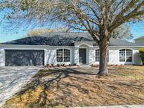 Charming single-story home featuring a gray exterior, arched windows and mature trees at 4541 Se 30Th St, Ocala, FL 34480