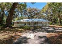Charming single-story home with mature trees, a long driveway, attached garage, and light gray paint color at 14100 Ne 40Th Ct, Anthony, FL 32617