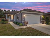 Charming home exterior featuring a two-car garage, manicured landscaping, and a pathway to the front door at 7665 Sw 96Th Avenue Rd, Ocala, FL 34481