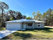 Charming single-story home with a well-manicured lawn and a two-car garage at 22 Fisher Way Pass, Ocklawaha, FL 32179