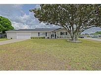 Charming single-story home with a well-maintained lawn and mature landscaping at 17475 Se 107Th Ct, Summerfield, FL 34491