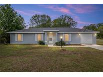 Charming single-story home with a well-manicured lawn and attached garage at 44 Pecan Run Dr, Ocala, FL 34472