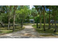 Long driveway approaching a charming two-story home surrounded by lush greenery and mature trees at 11311 Ne 40Th Street Rd, Silver Springs, FL 34488