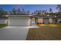 Charming single-Gathering home featuring a spacious driveway and well-maintained front lawn at 15840 Sw 38 Pl, Ocala, FL 34481