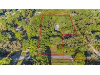 Aerial view of the property highlighting land's boundaries and surrounding lush greenery at 6700 Nw 57Th Ave, Ocala, FL 34482