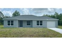 Charming single-story home features a freshly painted exterior, a well-manicured lawn, and an attached single-car garage at 87 Guava Pass Dr, Ocklawaha, FL 32179