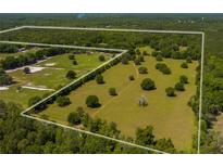 Expansive aerial view of acreage surrounded by mature trees and marked by a white property line at 11420 Nw 110Th Ave, Reddick, FL 32686