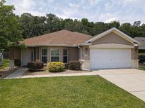 Charming single-story home featuring a two-car garage, manicured lawn, and well-maintained landscaping at 13196 Se 86Th Cir, Summerfield, FL 34491