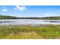 Expansive lake view surrounded by lush greenery and clear blue skies at 14620 Se 47Th Loop, Ocklawaha, FL 32179