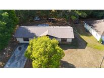 Charming single-story home with gray roof, mature trees, and expansive front yard at 16 Water Trak, Ocala, FL 34472