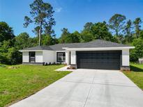 Charming single-story home with a well-manicured lawn, dark garage door, and a modern design at 2376 Se 40Th Street Road, Ocala, FL 34480