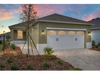 Charming home with an attached garage, verdant lawn, and manicured landscaping at 10347 Sw 99Th Ln, Ocala, FL 34481
