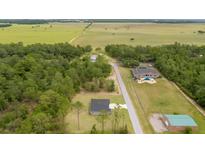 A beautiful property with sprawling green fields, lush trees, and a luxurious swimming pool at 23131 Sw Rainelle Rd, Dunnellon, FL 34431