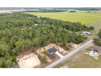 Beautiful aerial view of home surrounded by lush green trees at 23131 Sw Rainelle Rd, Dunnellon, FL 34431
