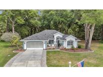 Charming single-story home featuring a well-manicured lawn and a welcoming two-car garage with paved driveway at 11569 Sw 75Th Cir, Ocala, FL 34476