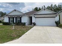 Charming single-story home featuring a well-maintained lawn and a two-car garage, providing both curb appeal and convenience at 12 Hickory Course Way, Ocala, FL 34472