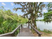 Wooden dock leads to a serene lake surrounded by lush greenery and a tree with Spanish moss at 19938 Burkitt Rd, Dunnellon, FL 34432