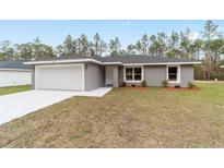Charming single-story home showcasing a well-manicured lawn, a two car garage and modern architectural details at 13349 Sw 113Th Pl, Dunnellon, FL 34432