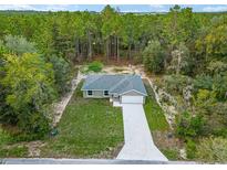 A lovely one story home with a spacious lawn and driveway, nestled among towering pines in a lush green landscape at 23163 Nw Shamrock Ave, Dunnellon, FL 34431