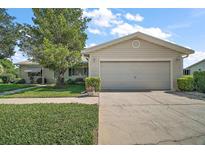 Charming single-story home with a well-maintained front yard and a two-car garage at 10347 Se 178Th Pl, Summerfield, FL 34491