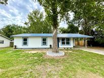 Charming single-story home with blue metal roof, white siding, and a mature tree in the front yard at 6134 Se Stetson Rd, Belleview, FL 34420