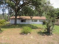 Charming one-story home with mature trees and a well-maintained lawn, perfect for outdoor enjoyment at 17315 Se 18Th St, Silver Springs, FL 34488