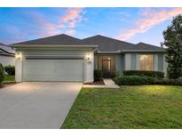Charming one-story home with well-manicured lawn and a two-car garage at 6651 Sw 93Rd Ct, Ocala, FL 34481