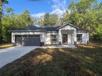 Charming single-story home features a modern design, gray garage door, and a well-manicured front yard at 14540 Se 33Rd Ter, Summerfield, FL 34491